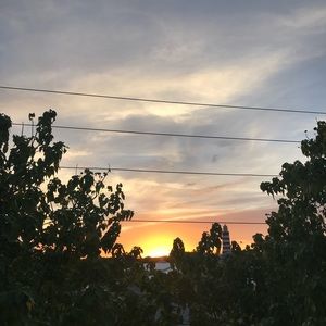 Meet your Posher, Alora